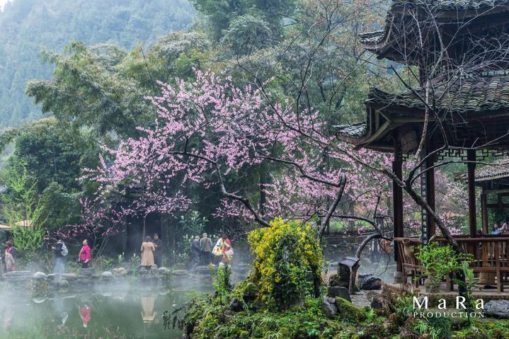 寻找5个差异